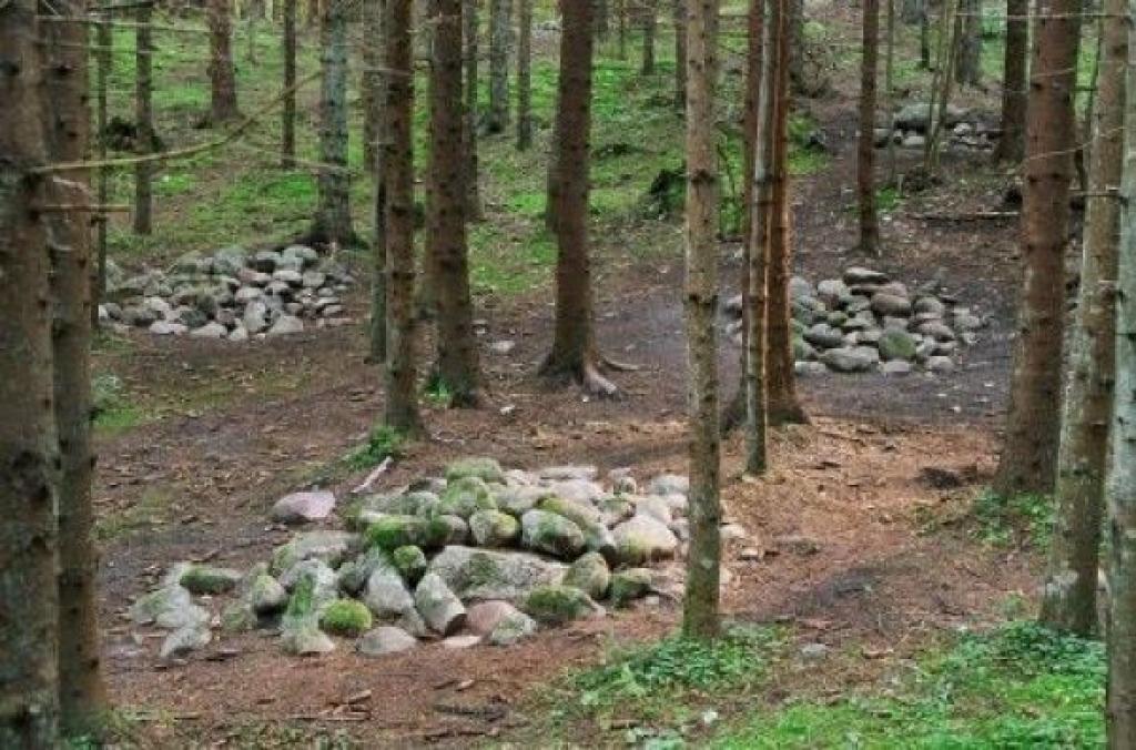 Pokaiņos smakošot pēc dāņu cūkām