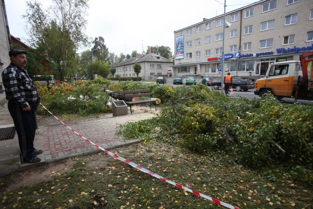 Bez saskaņošanas kokus negriež