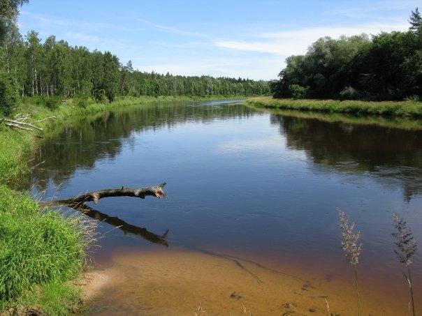 Lejasciema pagastā, Gaujā, atrod mirušu lejasciemieti