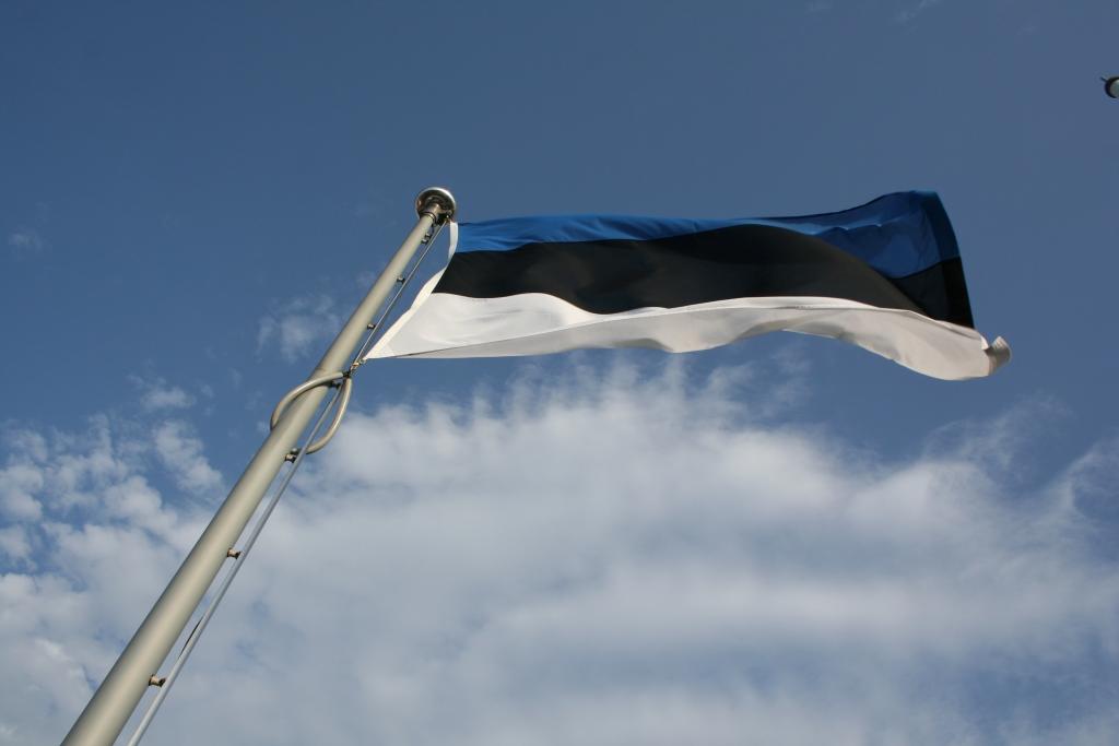 Igaunijas vēstnieks: ieviešot eiro, lielas kļūdas Igaunija nav pieļāvusi