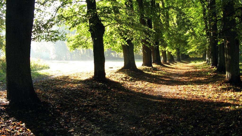 Noteikti Zelta rudens foto konkursa uzvarētāji