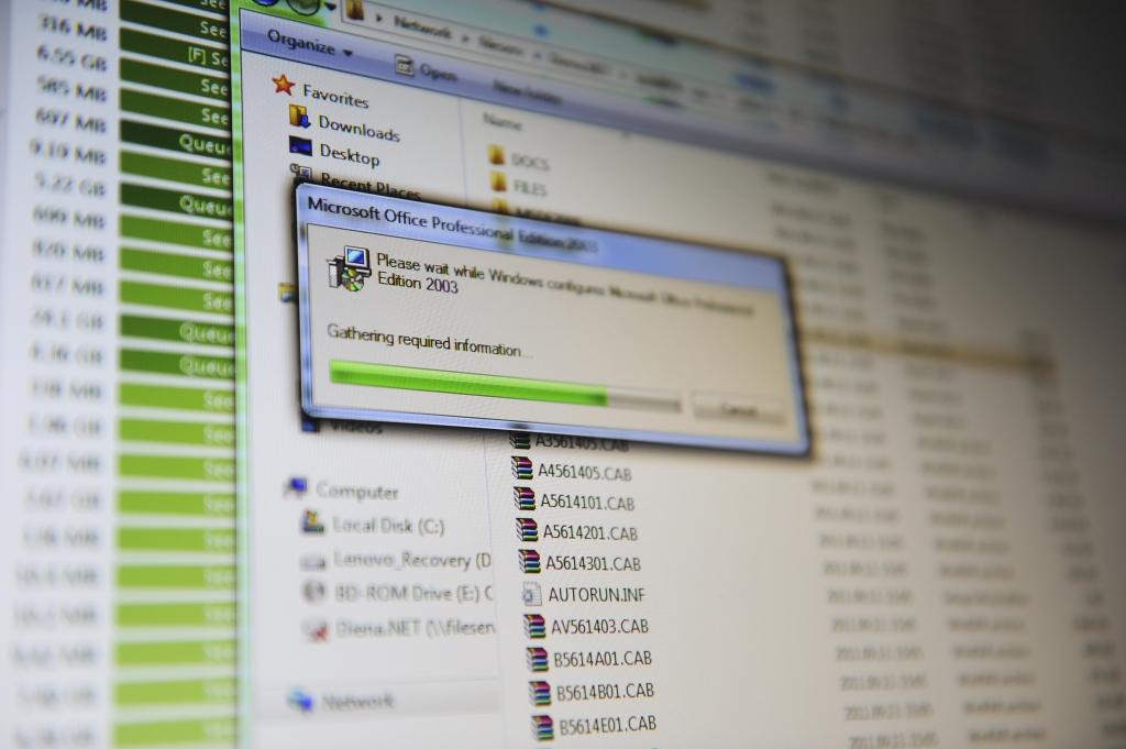 Pašvaldības taisnojas par programmatūru nelegālu lietošanu