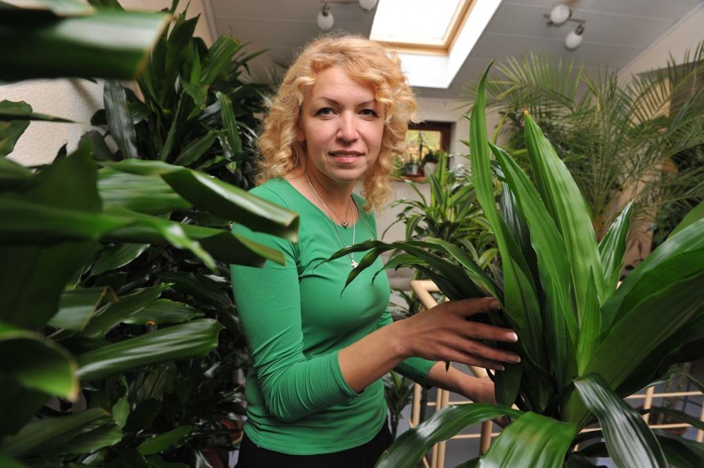 Uzņēmuma Pulksteņa ezers biroja telpās - kā mežā