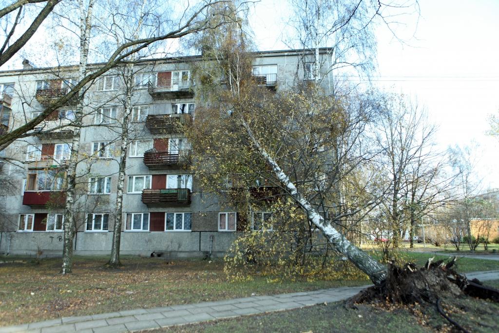Latvijā pārdzīvotā vētra bijusi stiprākā pēdējo gadu laikā