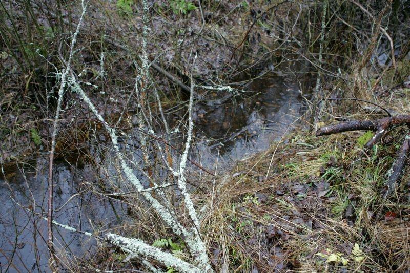 Jaungulbenes pagastā sāk realizēt meliorācijas sistēmu renovācijas projektu