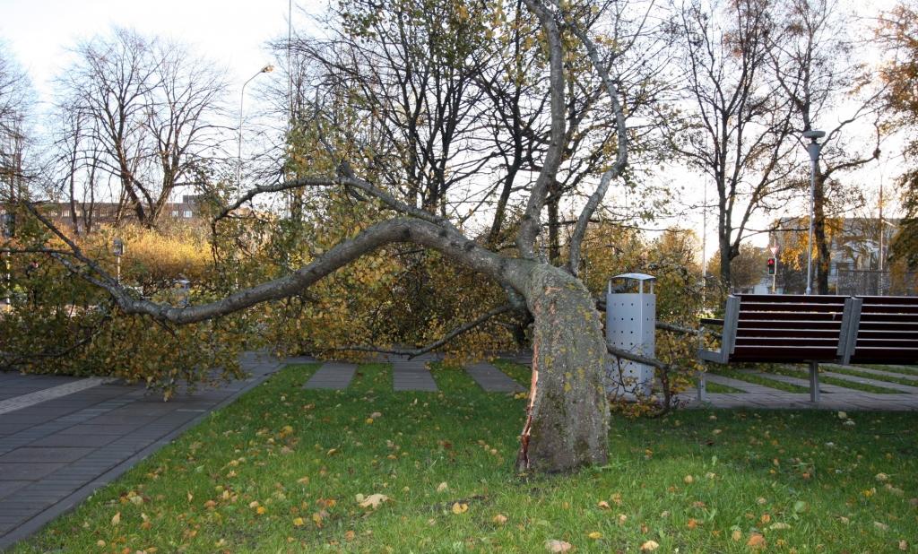 Pirmdienas vētra visvairāk varētu skart Latgali