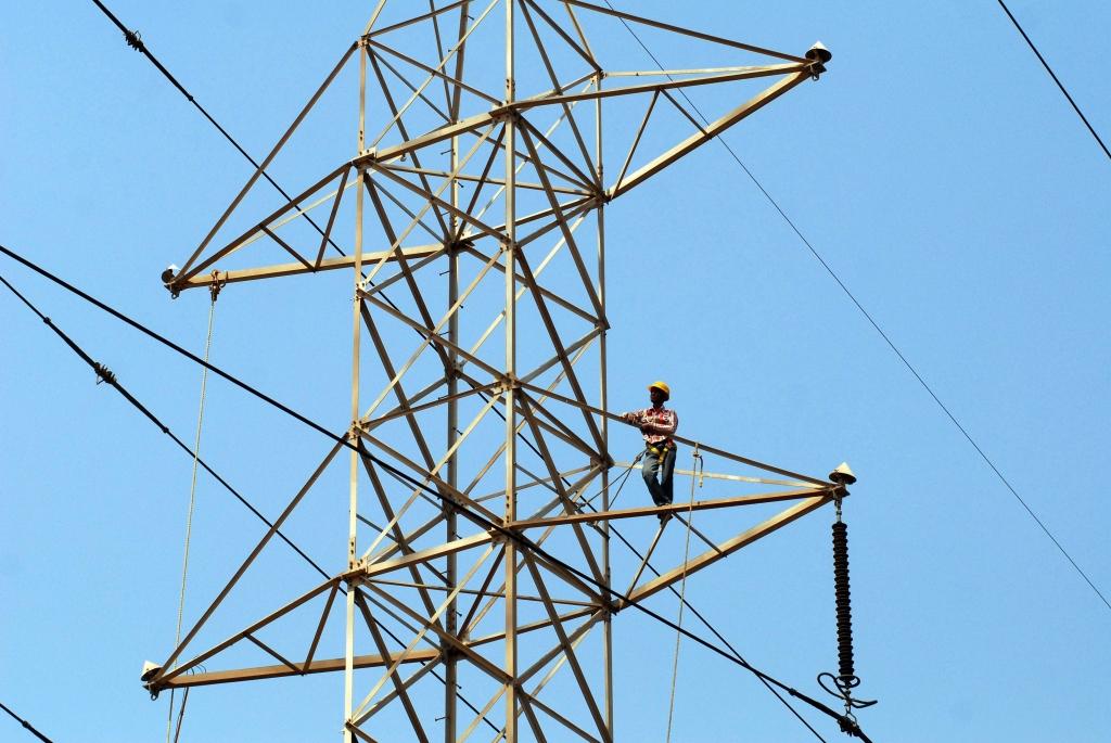 Dzīvības lidojuma stārķis Dora varētu būt gājis bojā pēc sadursmes ar elektrolīnijām