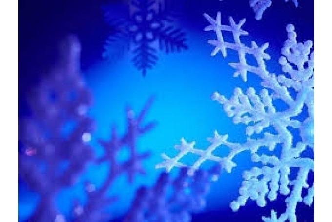 Jaungulbenes ev. lut baznīcā - 4. Adventa svētdienas dievkalpojums