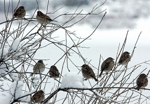 Aicina nebūt vienaldzīgiem pret grūtībās nonākušiem cilvēkiem