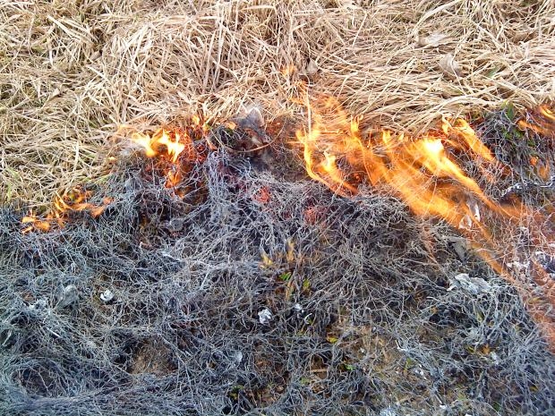 Daukstu pagastā deg kūla 7 hektāru platībā