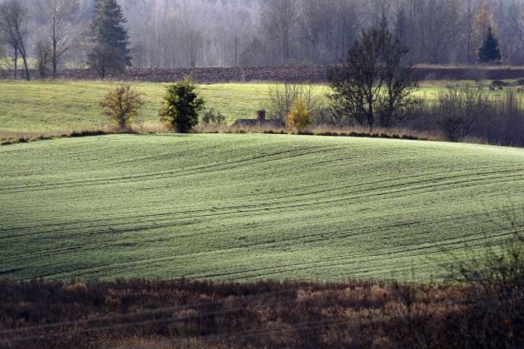 Zaļais dzīvesveids dara laimīgāku