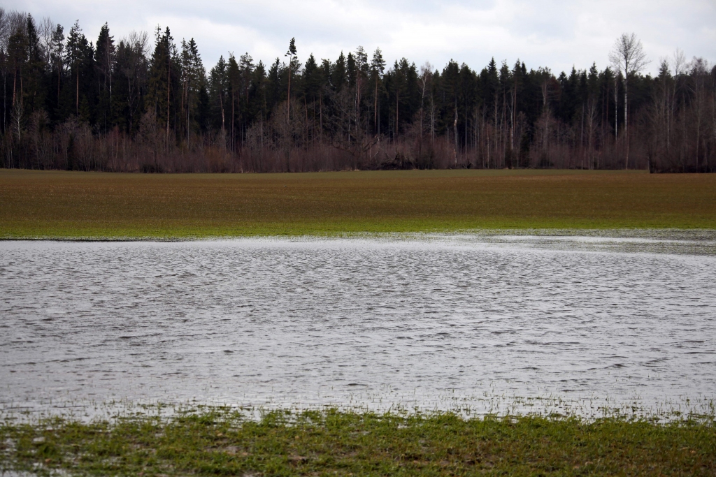 Latvijas austrumu rajonu upēs strauji cēlies ūdens līmenis