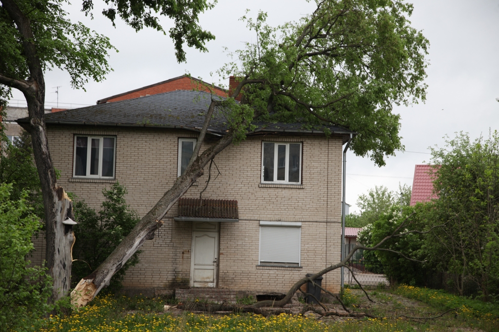 Vētra lauž kokus un rada plūdus