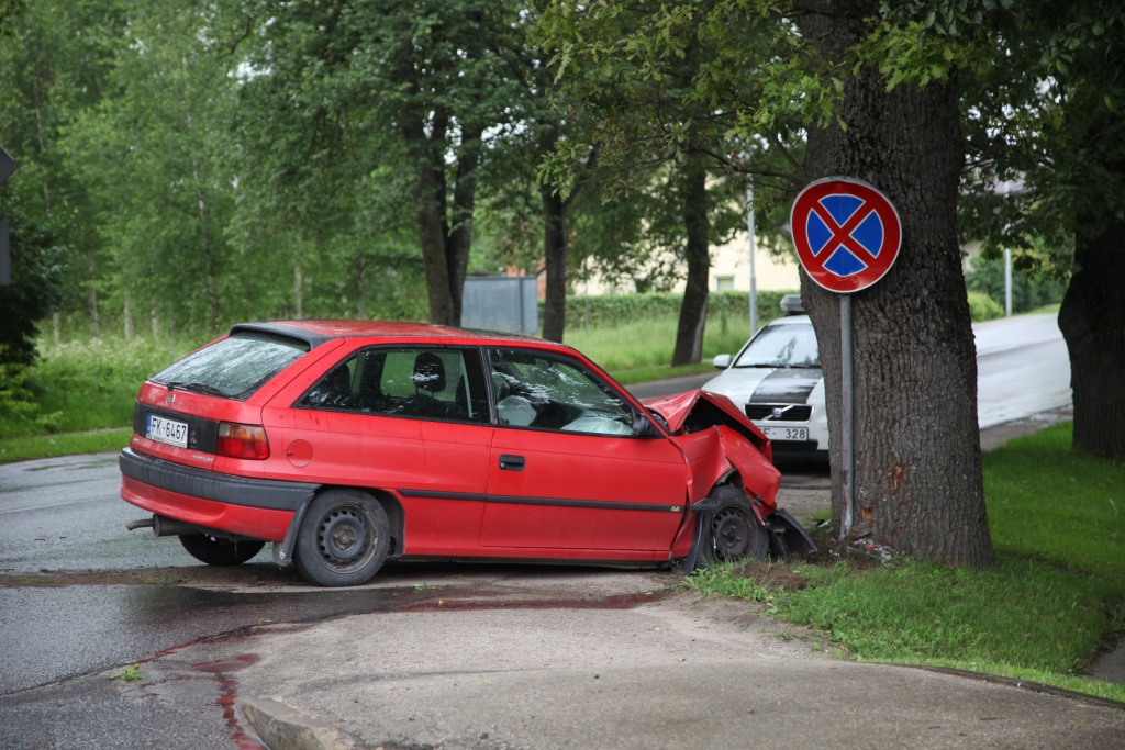 Ietriecas kokā