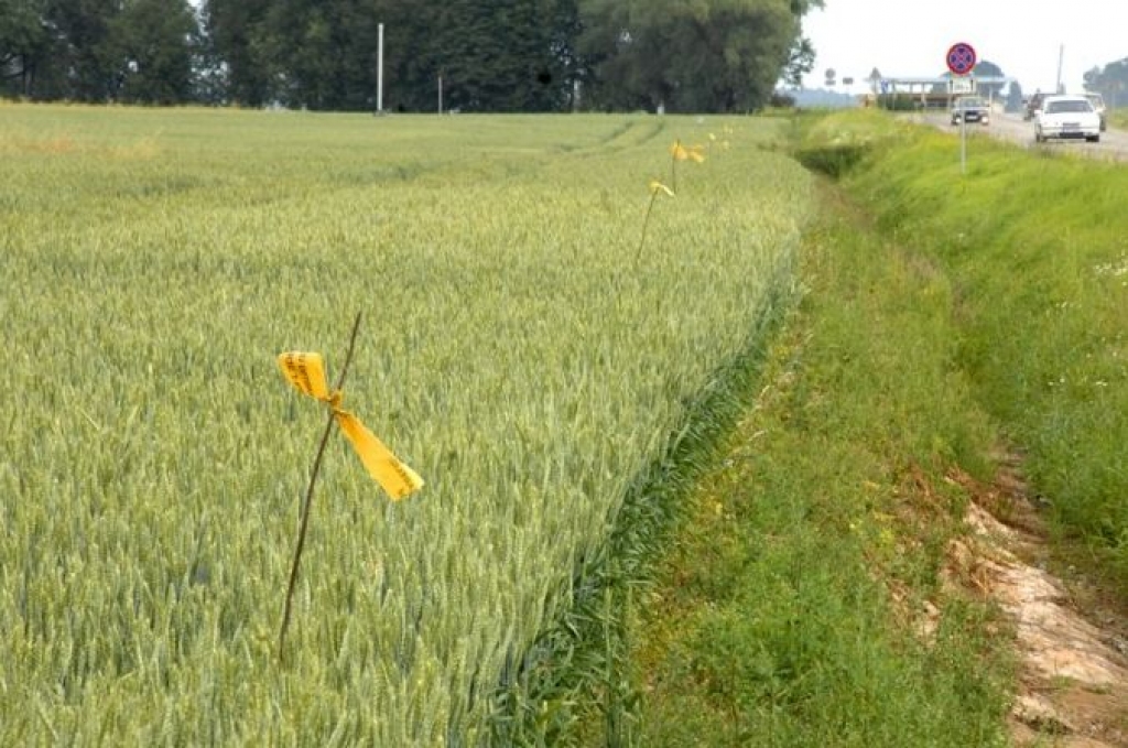Optiskā kabeļa guldīšanai jārok zeme labības laukā