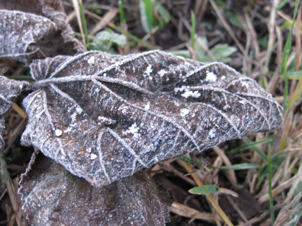 Novembris – aukstāks nekā parasti