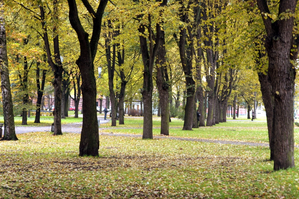 Plāno Esplanādes, Viesturdārza un Kronvalda parka rekonstrukciju