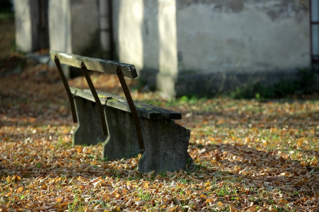 Sinoptiķi novembri prognozē siltāku par normu