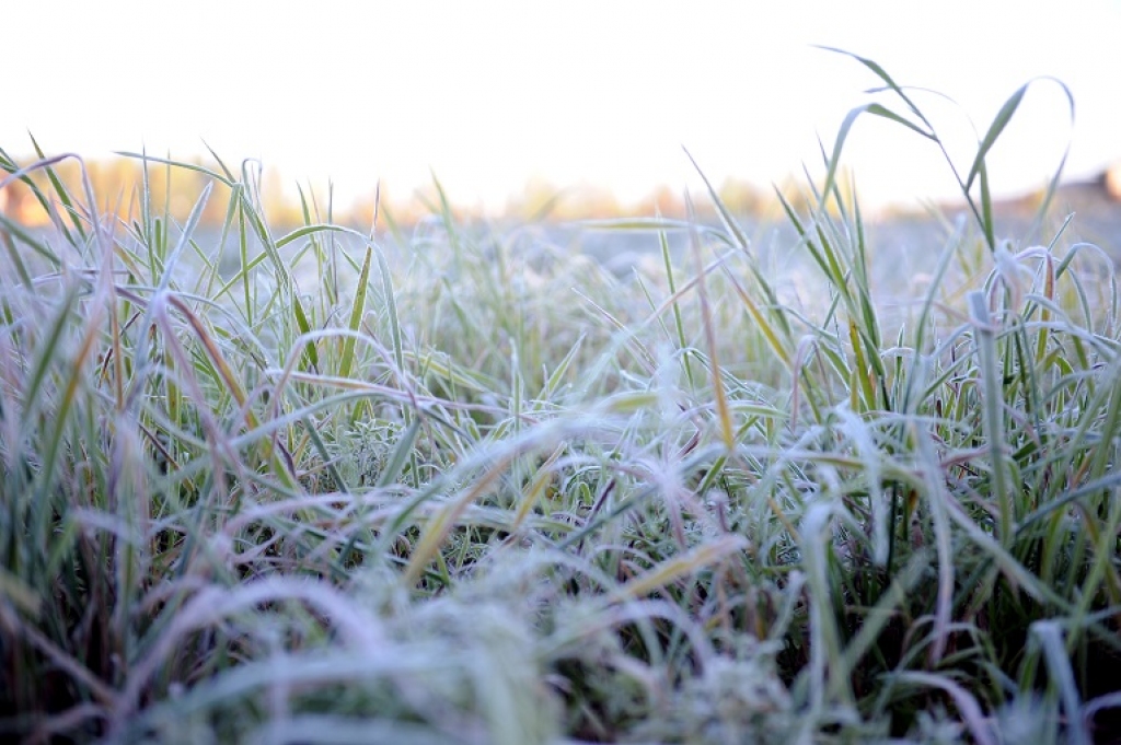 Novembra otrā puse gaidāma krietni vēsāka un bez nokrišņiem