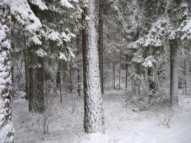 Būs seminārs lauksaimniekiem