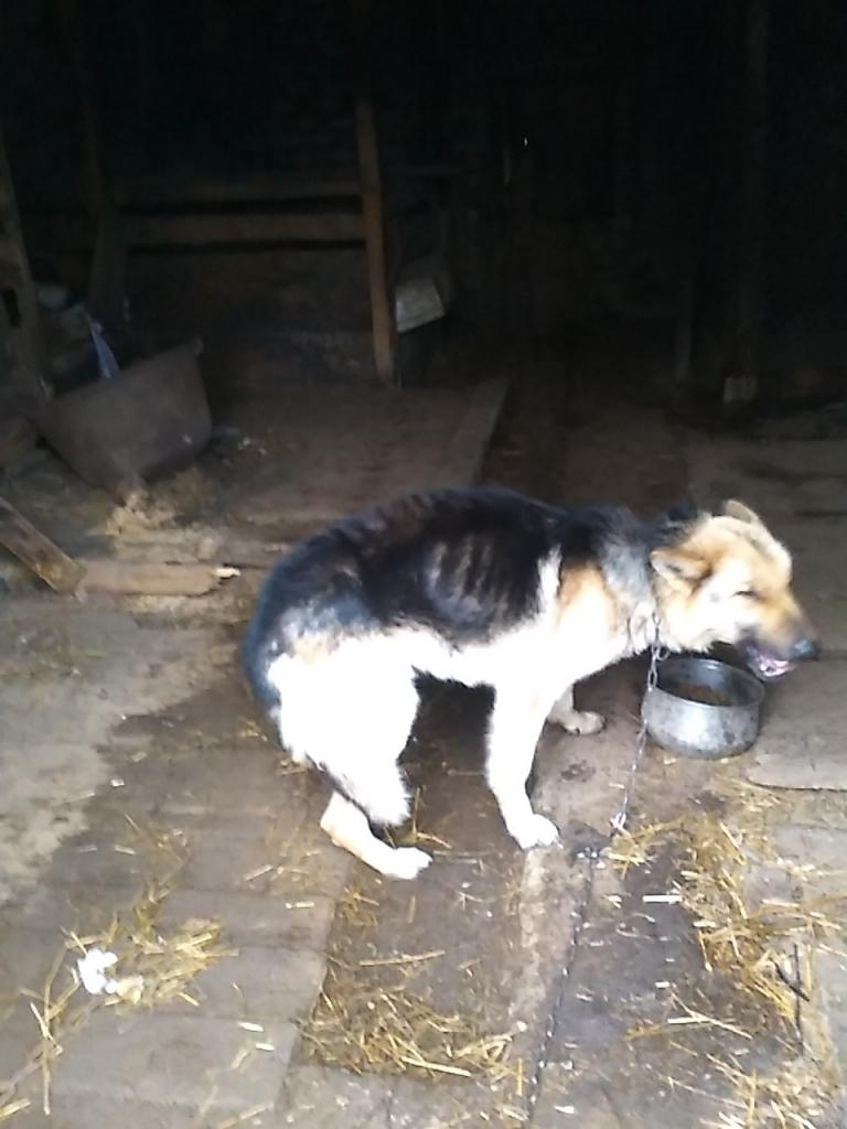 Lūdz atbalstu no budžeta