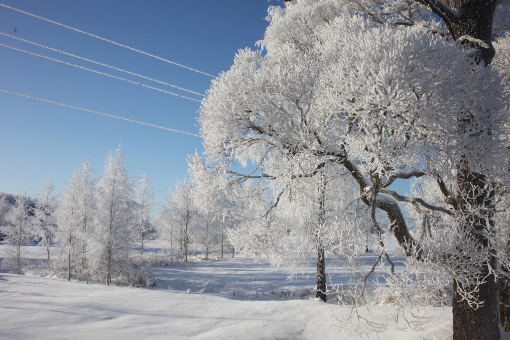 Februārī paredz mērenu, bet ilglaicīgu salu