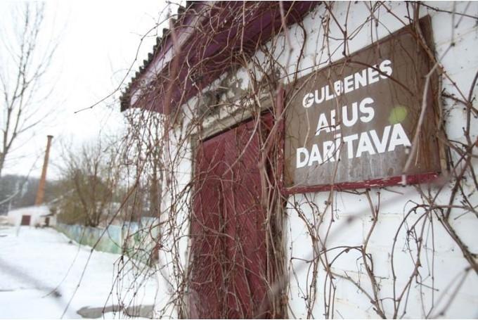 Apsver, vai pirkt Gulbenes alus darītavu izsolē