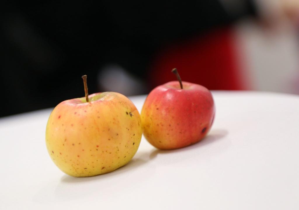 Biosaimnieki negrib būt pieticīgi