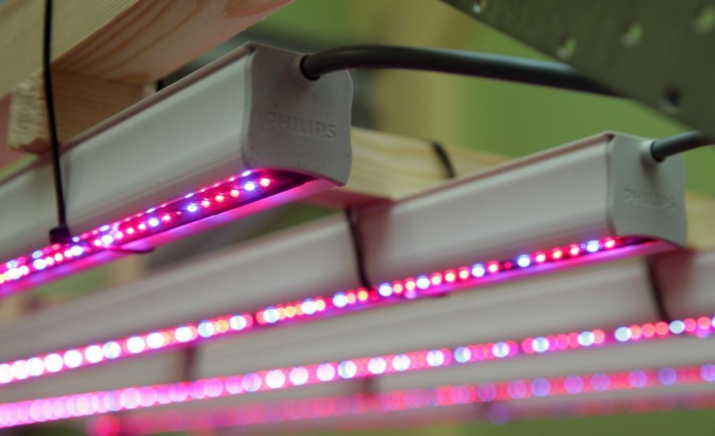 Philips pārdod vairākuma akcijas LED un automašīnu spuldžu ražošanas biznesā