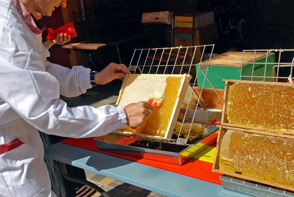 Bites uz Saeimas jumta? - nemaz tik neprātīgi tas nav