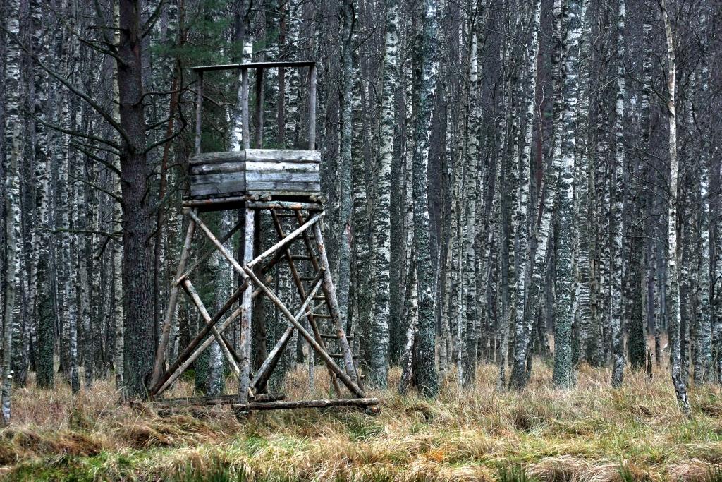 Malumednieks, krītot no koka, iešauj sev kājā