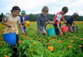Aicina piedāvāt skolēniem darbu vasarā