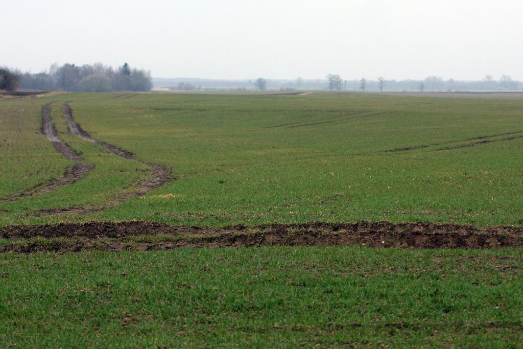 EK: Latvijā noteikumi lauksaimniecības zemes iegādei ir stingrāki nekā vajadzīgs