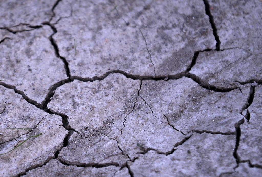 Investors: Nokrišņu prognožu spīlēs