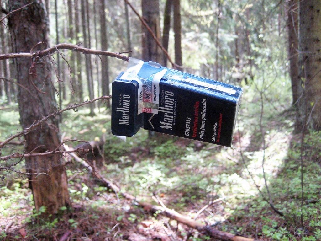 Iesim dziļāk pilsētas parkos!