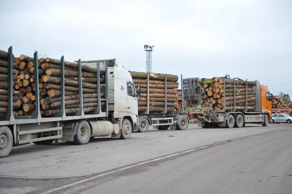 Kā top?: Zāģmateriāli uzņēmumā Vika Wood