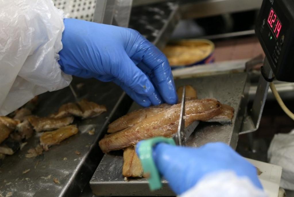 Krievijas embargo skartajiem zivrūpniekiem pagarinās nodokļu maksājumu termiņu