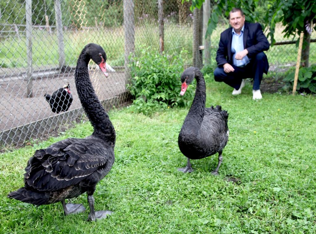 Uzdāvina Heinrihu un Marisu
