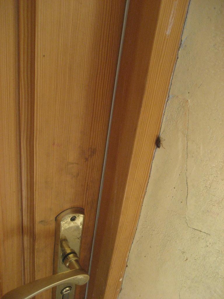 Iedzīvotāji cīnās ar indes un slazdu palīdzību