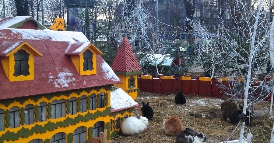 Vienreizēja iespēja sestdien Gulbenē (papildināts)