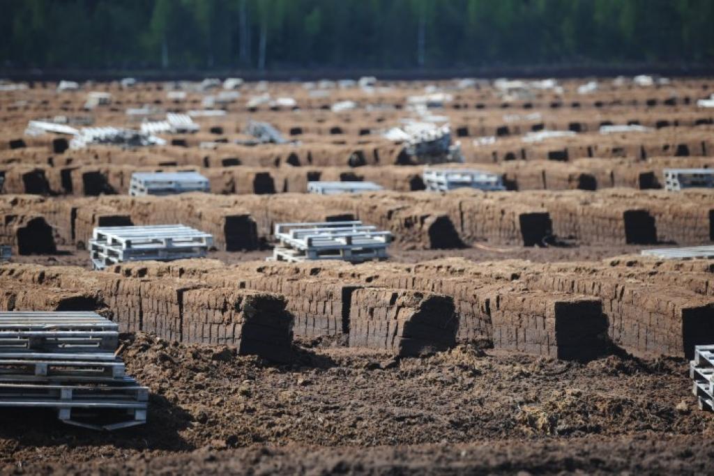 Saražojot 700 tūkstošus tonnu kurināmās kūdras, var aizstāt dabasgāzi 99,855 miljonu eiro vērtībā