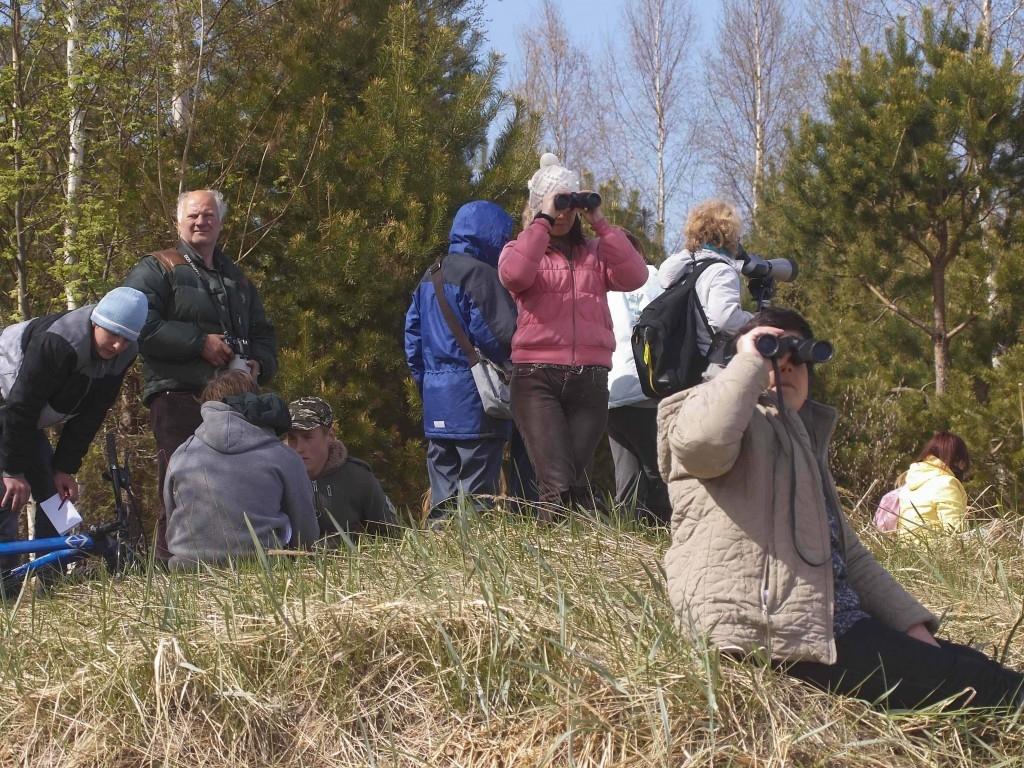 "Eiropas putnu vērošanas dienas 2015": aicina iet pārgājienā Litenē un Jaunpiebalgā