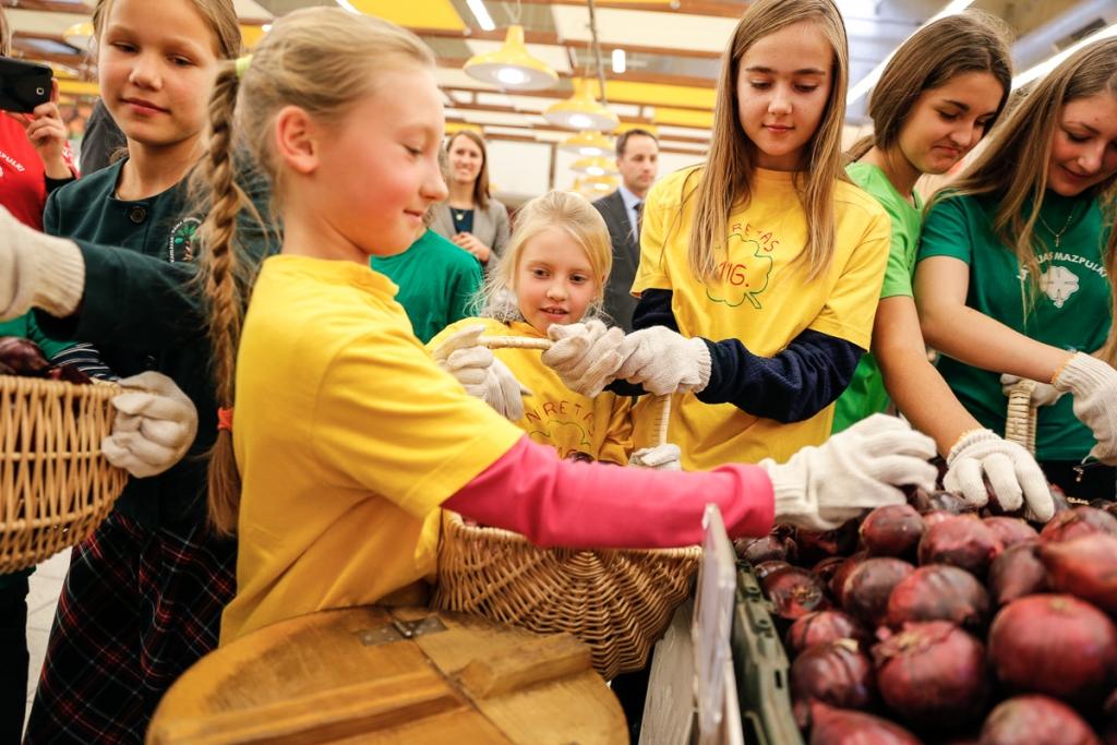 Latvijas mazpulcēni izaudzējuši 2,6 tonnas sarkano sīpolu