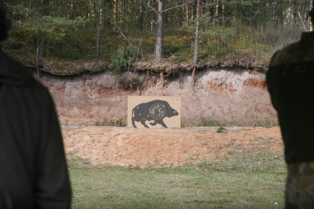 Par katru nomedīto sieviešu kārtas meža cūku – 100 eiro