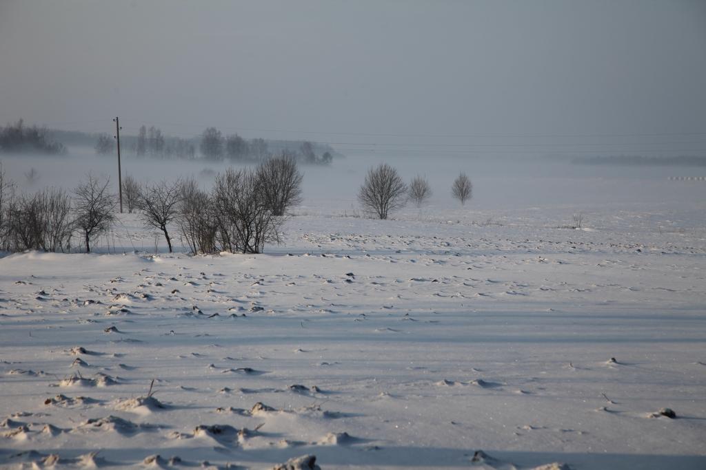 Decembrī iespējams arī mīnus 20 grādu sals
