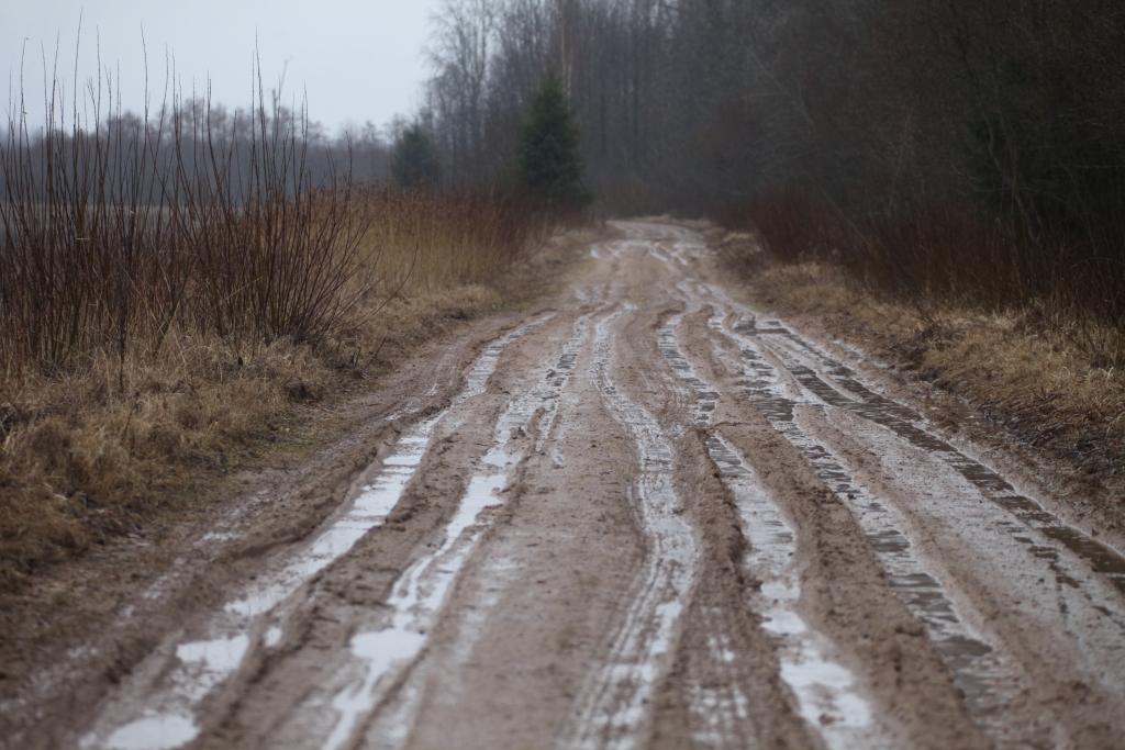 Apstiprina atjaunojamo lauku ceļu sarakstu