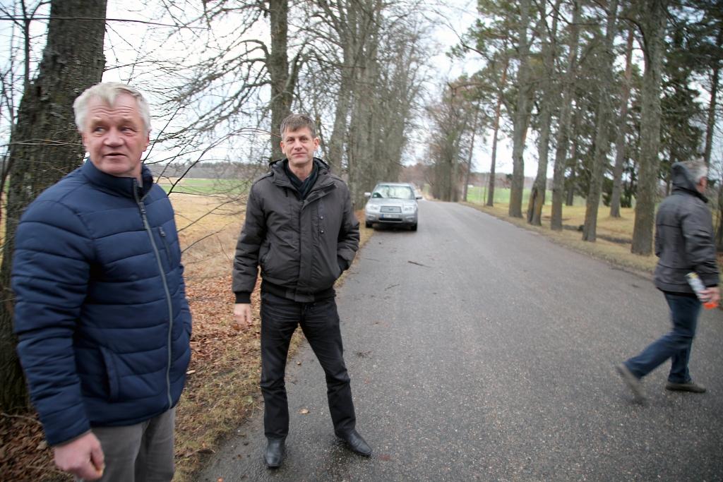 Jaungulbenē inventarizē kokus autoceļa malās