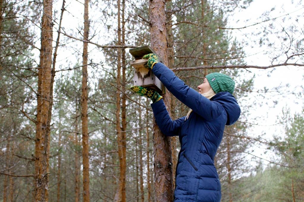 Kamēr būrīšos ligzdojošie putni prom, laiks uzkopt un atjaunot to mitekļus
