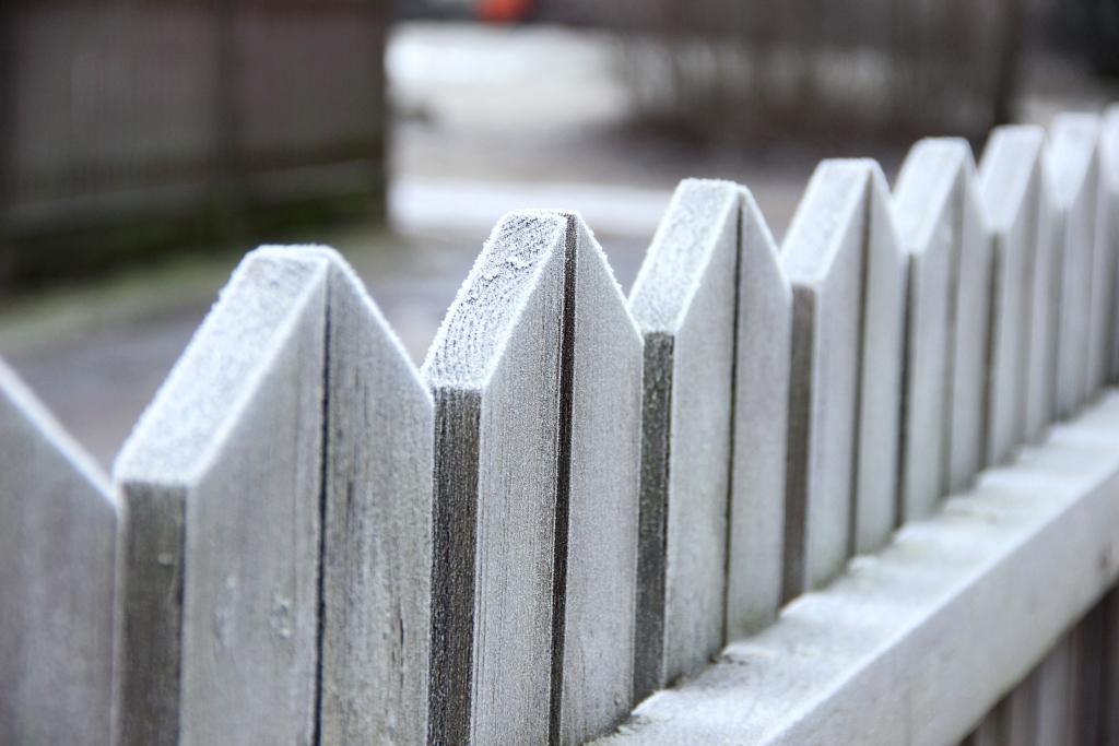 Otrdien valsts lielākajā daļā gaidāms sals