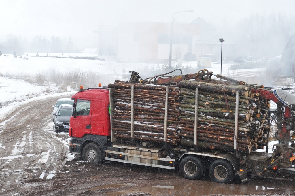 Kā top?: Kokskaidu granulas uzņēmumā NewFuels RSEZ